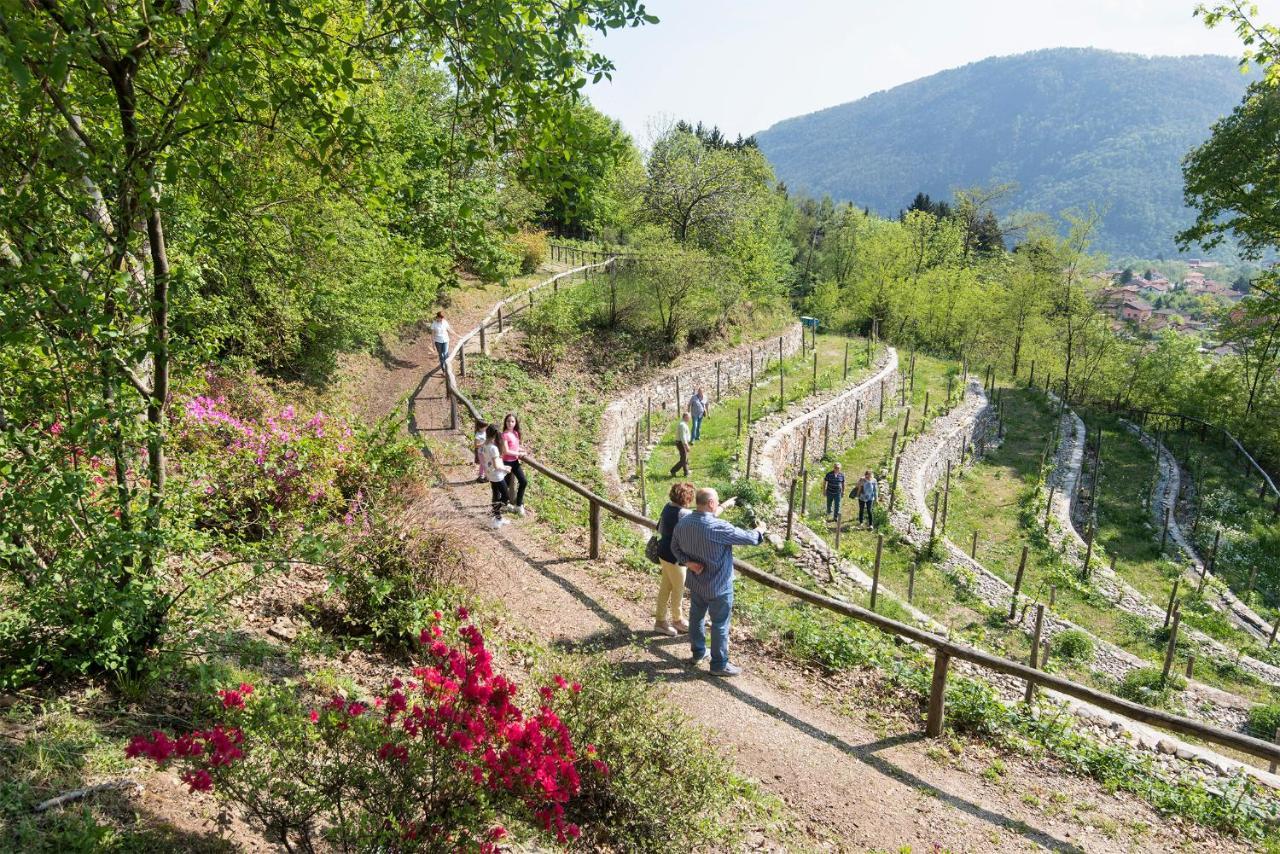 Agriturismo Al Motto Cambiasca Zewnętrze zdjęcie